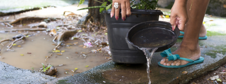 25-02_Rafael_Mendes 25-02_Rafael_Mendes