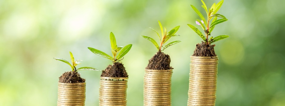 WhatsApp_Image_2022-03-15_at_11.03.48 WhatsApp_Image_2022-03-15_at_11.03.48