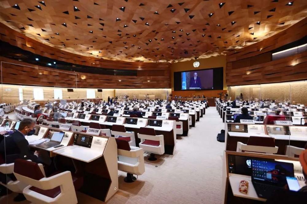 onu-498728965987245289 onu-498728965987245289