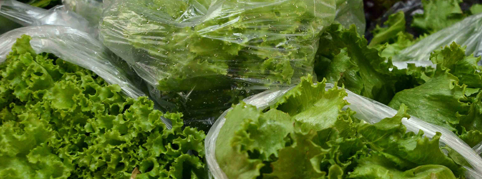 hortalicas_Carlos_Alberto hortalicas_Carlos_Alberto