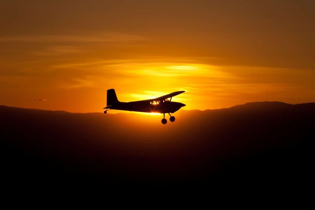 Ron-Apfelbaum-185_v2 Ron-Apfelbaum-185_v2