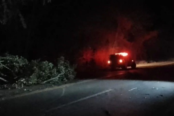 galho-de-arvore-cai-e-interdita-parte-da-rodovia-br-146-6294c351d2276 galho-de-arvore-cai-e-interdita-parte-da-rodovia-br-146-6294c351d2276