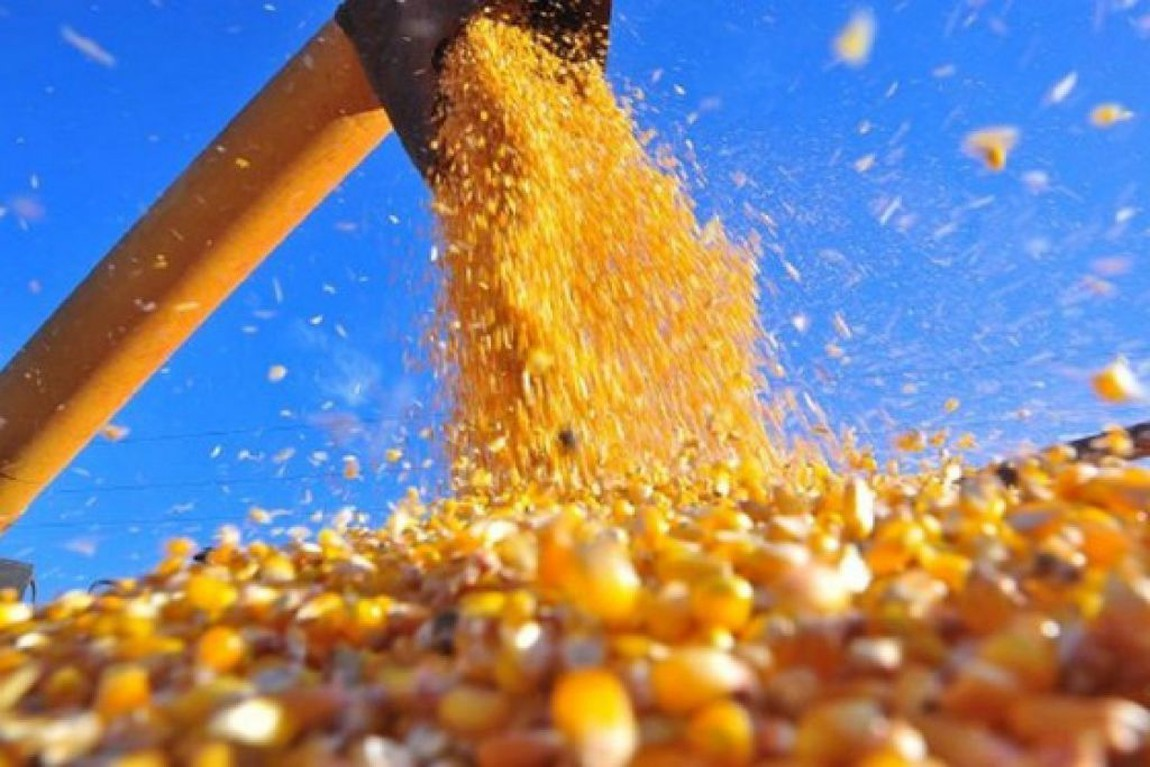 imagem_2021-01-14_105521 imagem_2021-01-14_105521