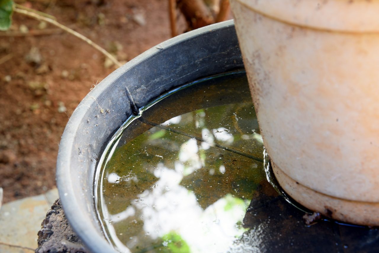 abandoned plastic bowl in a vase with stagnant water inside. clo