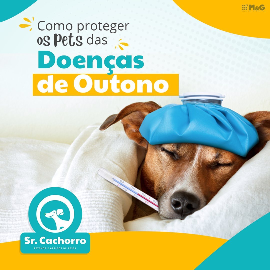 SrCachorroOutonoPet