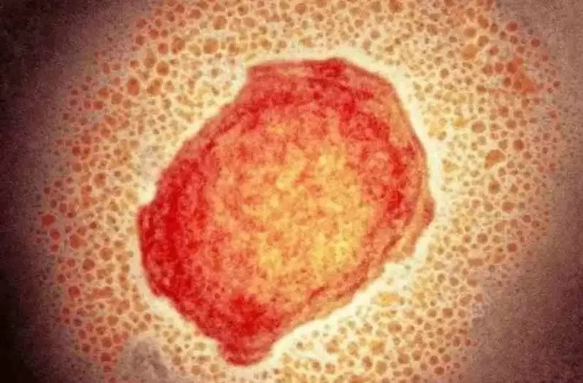 ezgif-2-d16e375a4f ezgif-2-d16e375a4f