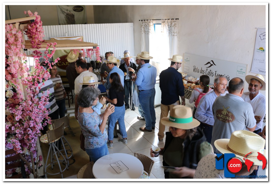 Mercado de trabalho em transição: conheça profissões que devem ganhar força em 2026