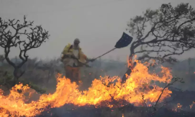 ezgif-1-c6c857d3d6 ezgif-1-c6c857d3d6