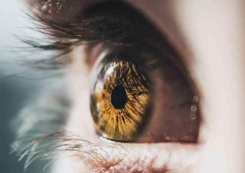 olho-1-94a1d2cb59 olho-1-94a1d2cb59