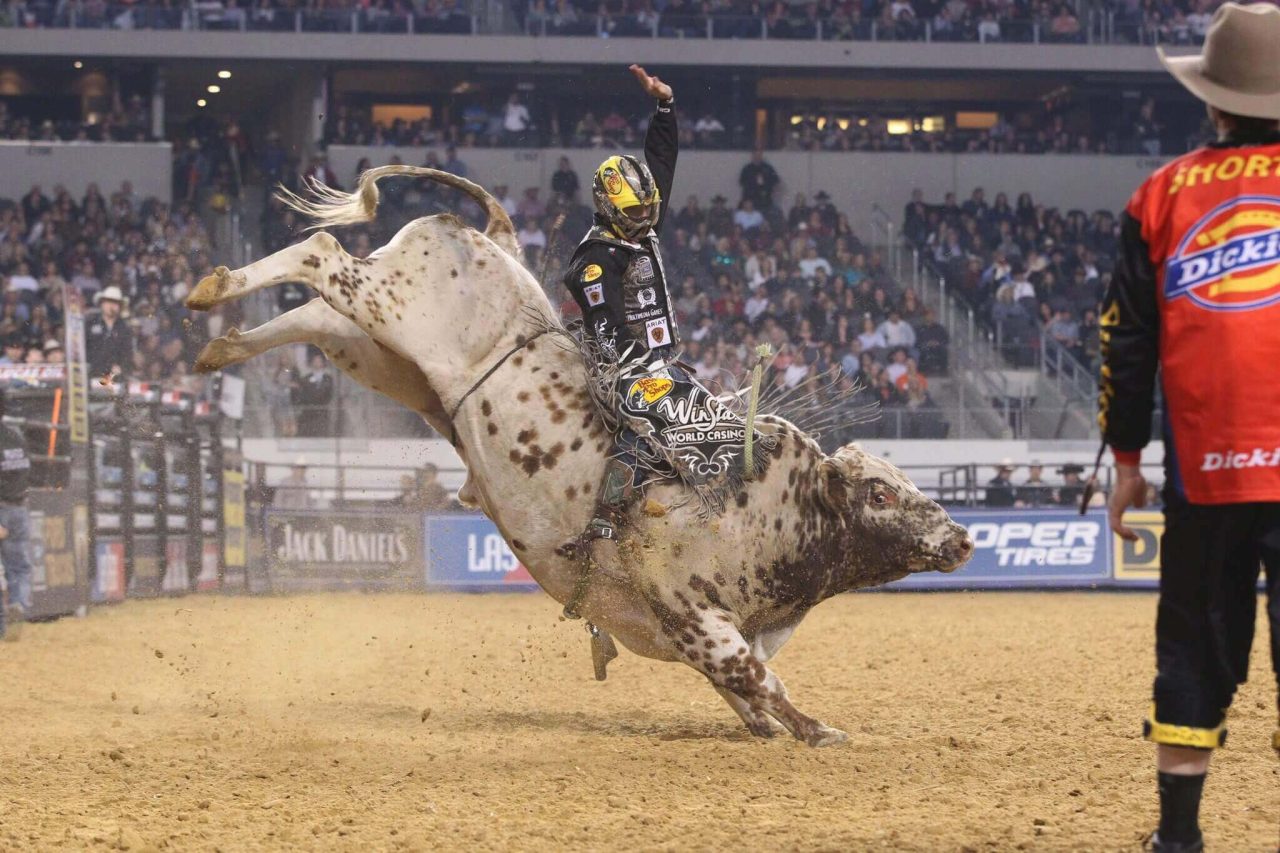 1-27451736-rodeo-wallpapers-Alterado 1-27451736-rodeo-wallpapers-Alterado