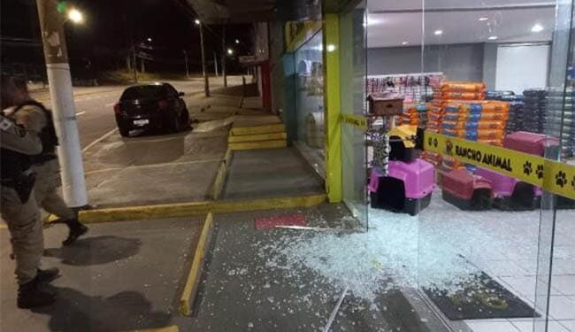 pet-shop-furtado-em-varginha-2-1-650x375-1