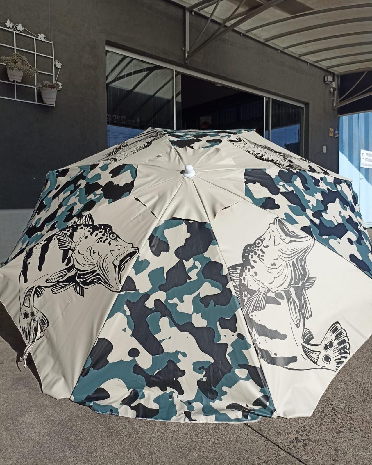 PescariaSrCachorroSol PescariaSrCachorroSol