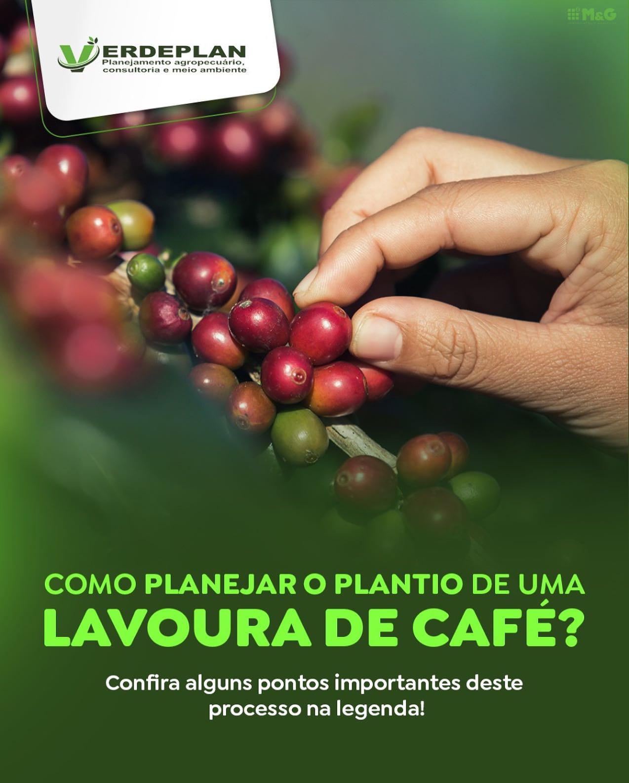 VerdePlanSet22 VerdePlanSet22