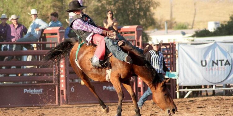 wyoming-3957235_960_720-1-750x375 wyoming-3957235_960_720-1-750x375