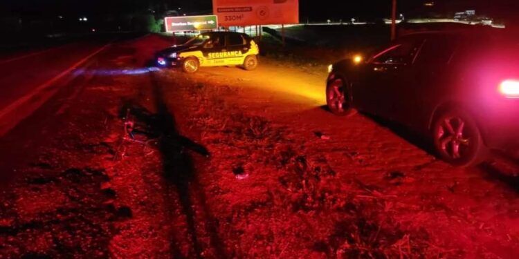 313413346_5370012336455170_653928251217844847_n-750x375