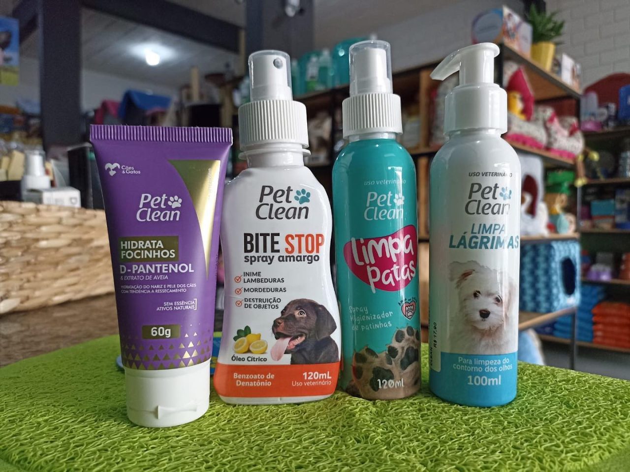 SrCachorro201022 SrCachorro201022