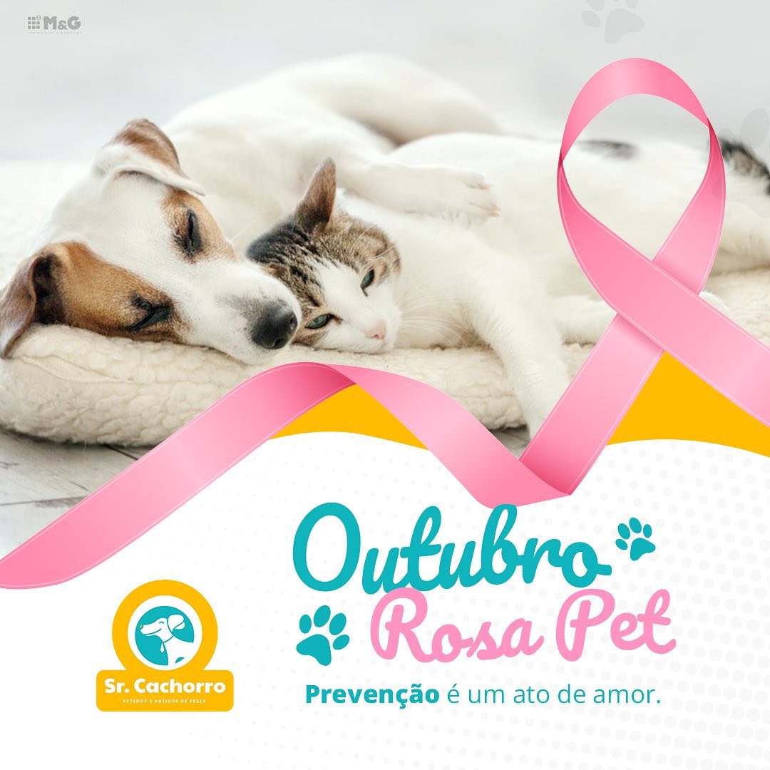 SrCachorroOutRosaPet