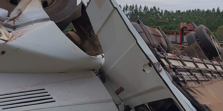 ffffffffffffffffffffffff4444-750x375