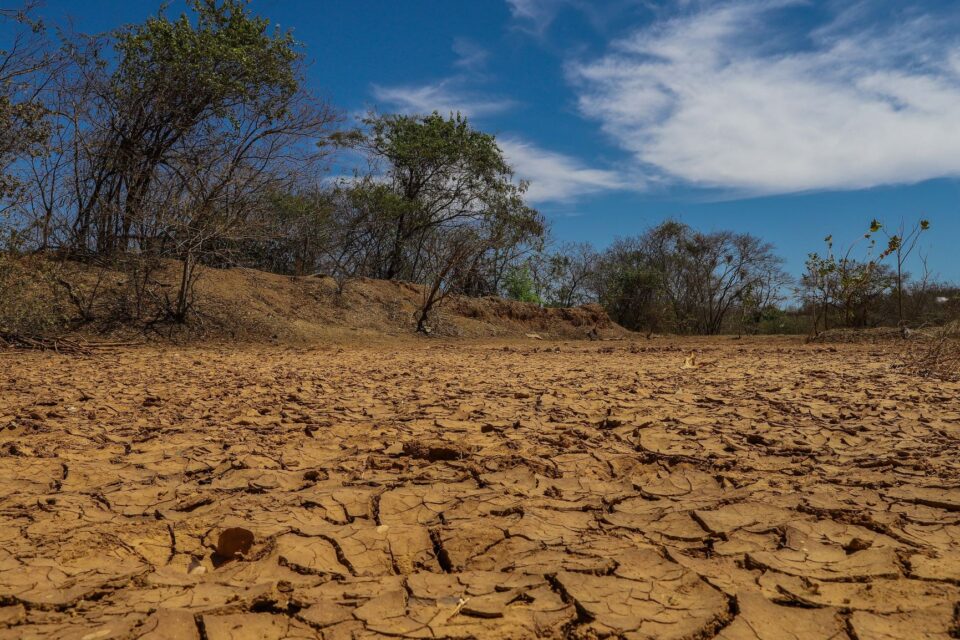 zgfxakri2_fla_57-scaled