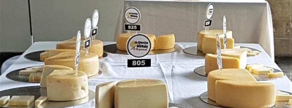 Concurso_queijo_5