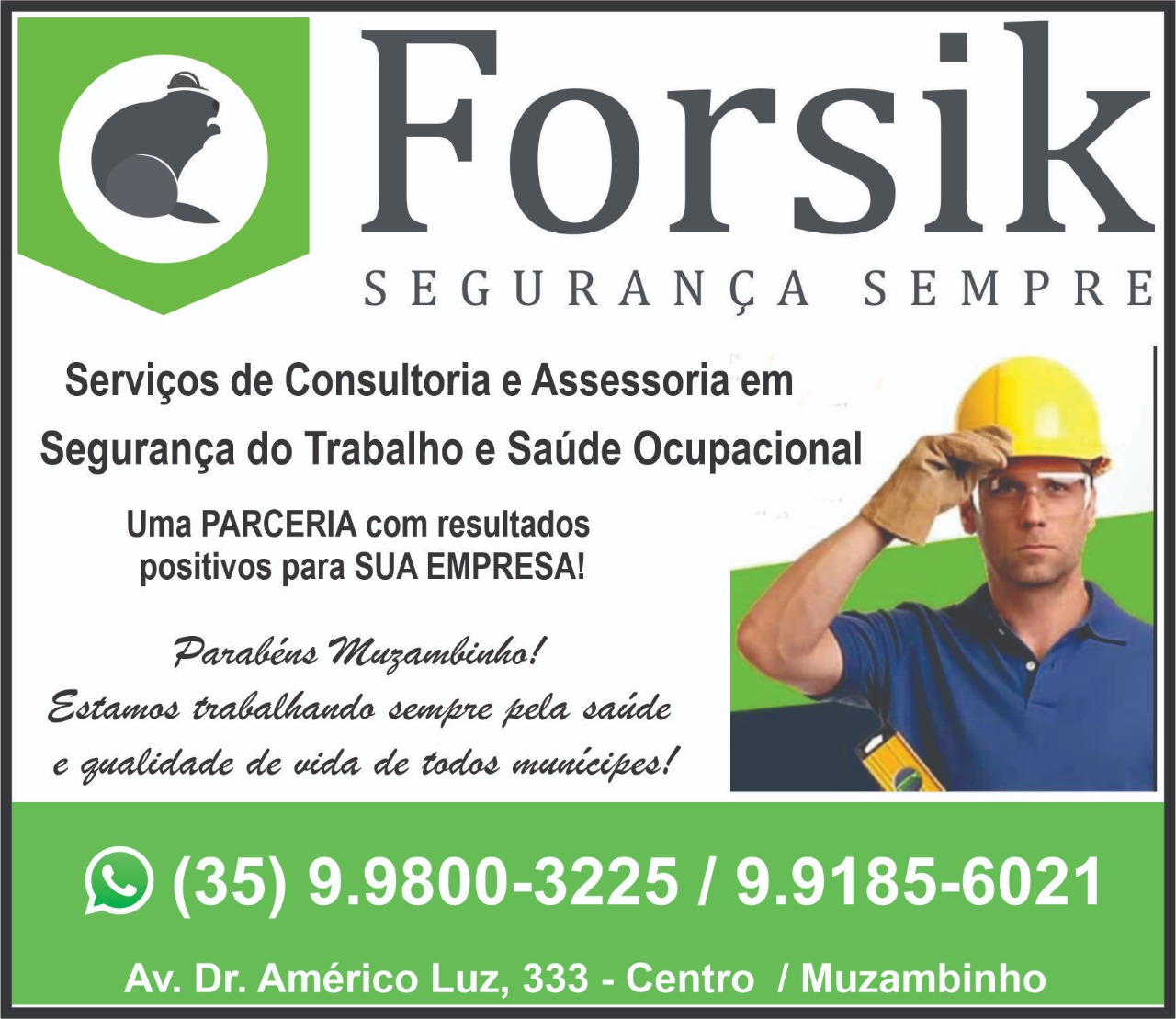 Forsik2711221