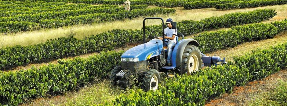 café-credito-divulgação-seapa café-credito-divulgação-seapa