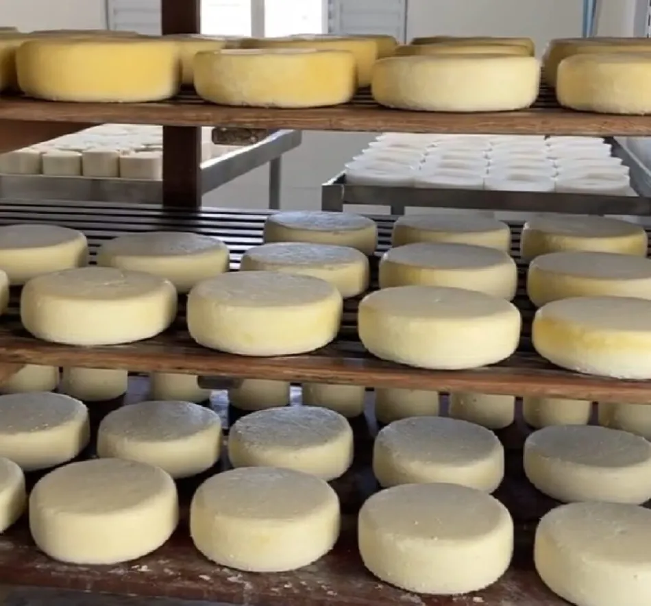 queijo-minas-artesanal-3-scaled queijo-minas-artesanal-3-scaled