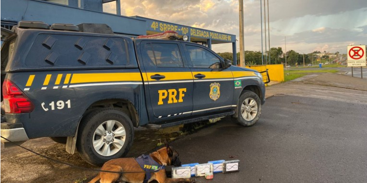 319236472_5475519385904464_8437015027941655438_n-750x375 319236472_5475519385904464_8437015027941655438_n-750x375