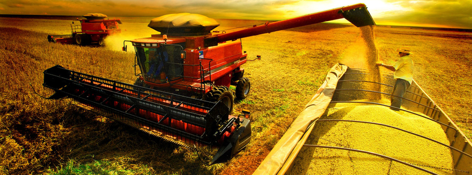 soja_crédito-divulgação-agro
