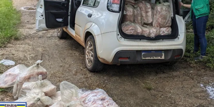 PMR-1-750x375 PMR-1-750x375