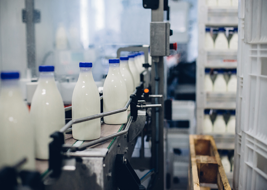 Selective focus shot of complete milk bottling line in a factory
