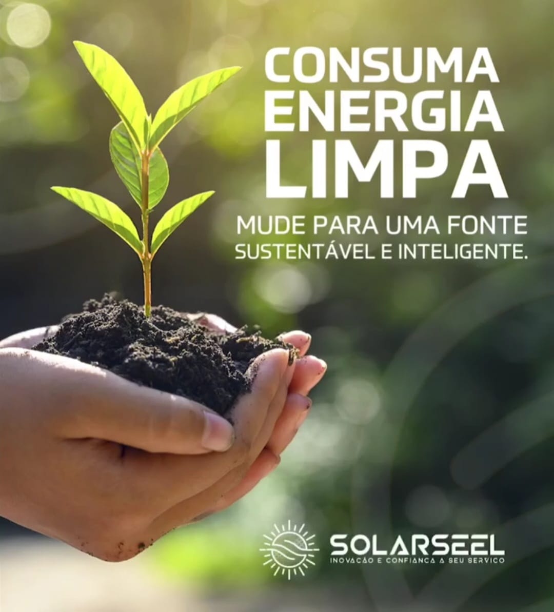 Solarseel250123 Solarseel250123