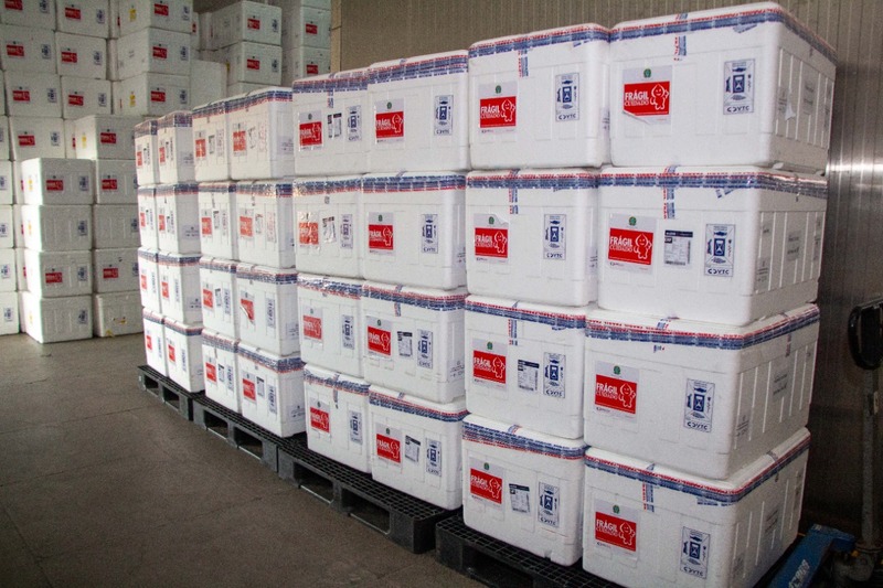 content_vacinas_criancas_d2 content_vacinas_criancas_d2