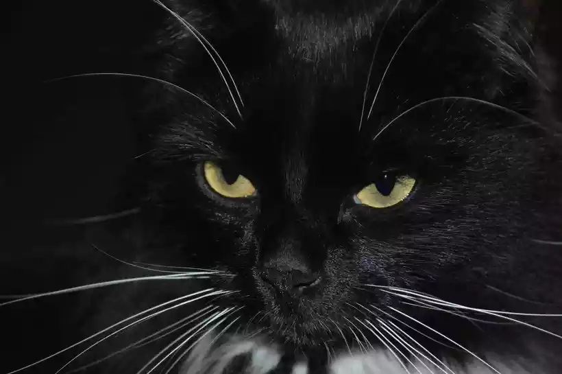 ezgif-1-118d53e8af ezgif-1-118d53e8af