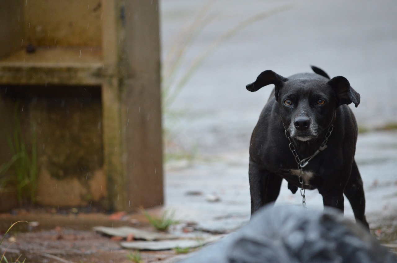 ezgif-2-f2553ef307 ezgif-2-f2553ef307