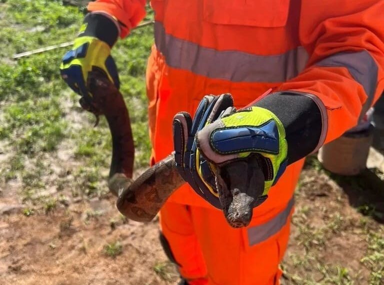 Foto-Corpo-de-Bombeiros-768x570