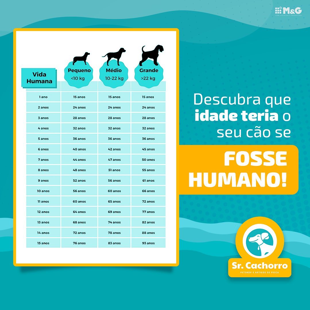 IdadeCaoHumano IdadeCaoHumano
