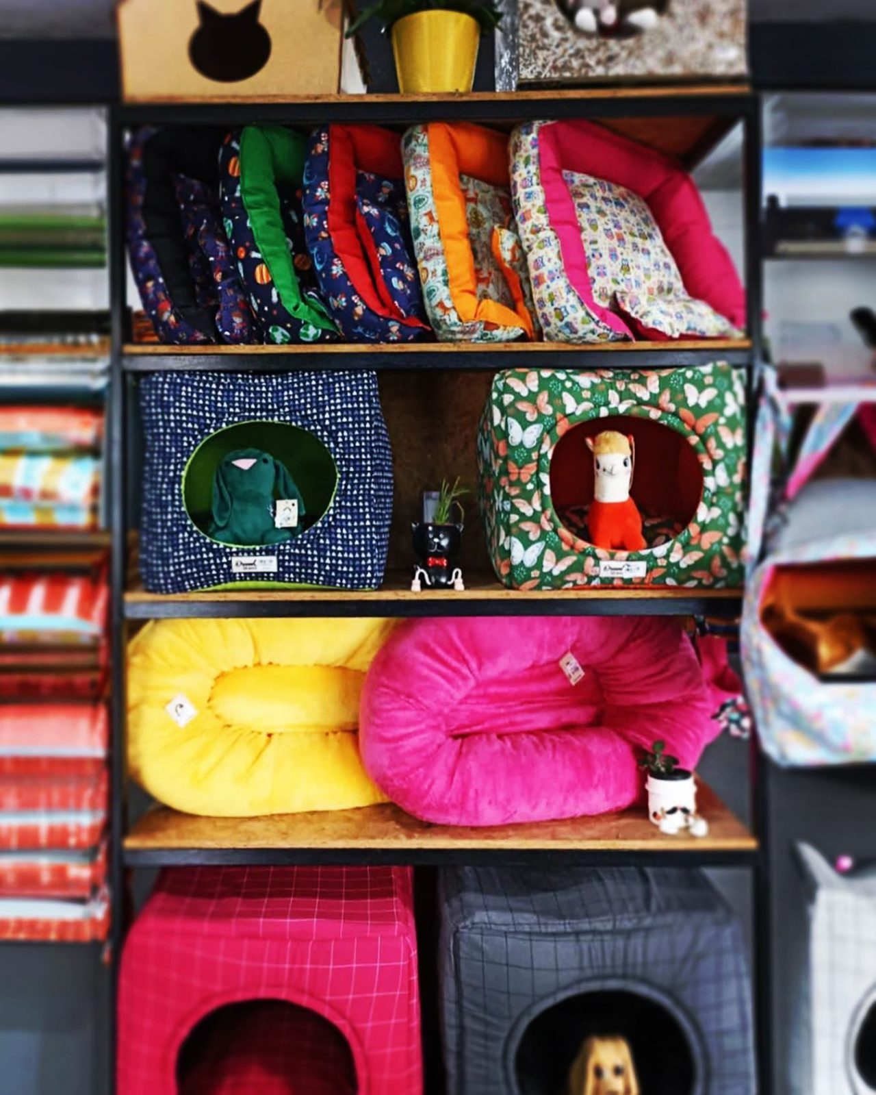 SrCachorroVitrine030223 SrCachorroVitrine030223