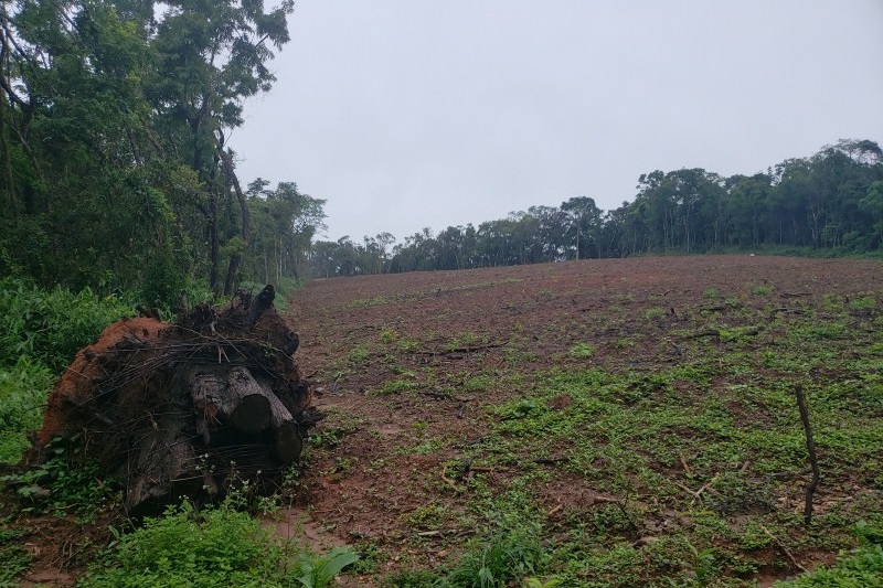 content_semad content_semad