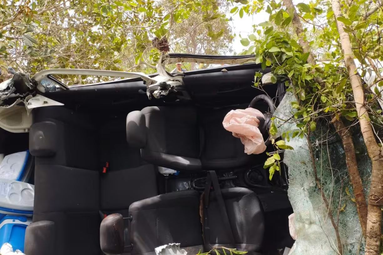 ezgif-2-eed8f64ebc ezgif-2-eed8f64ebc