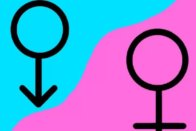 menopausa-antropausa-fronteira-livre menopausa-antropausa-fronteira-livre