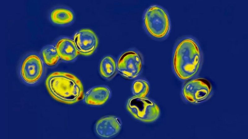 53f9f460-c88c-11ed-95f8-0154daa64c44 53f9f460-c88c-11ed-95f8-0154daa64c44