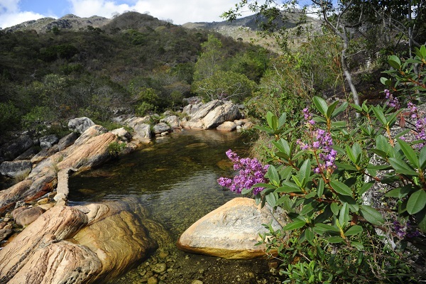 content_serranovaetalhado1 content_serranovaetalhado1