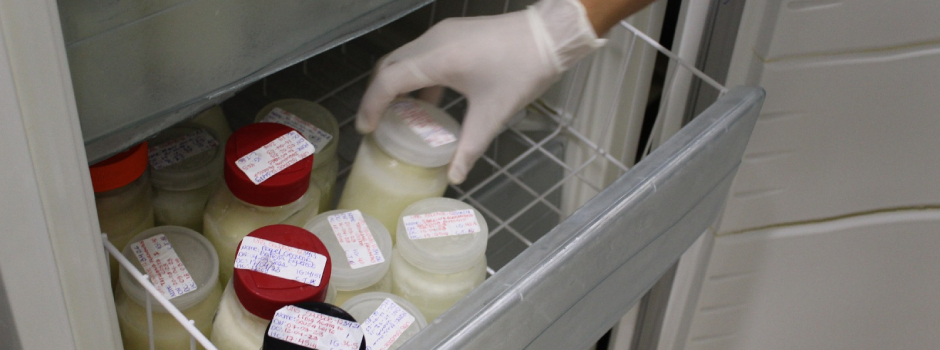 BLH_MOV_capa BLH_MOV_capa