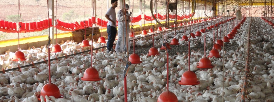 WhatsApp_Image_2023-05-31_at_11.14.00