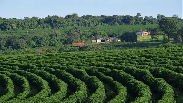 cafe-d006ab650f cafe-d006ab650f