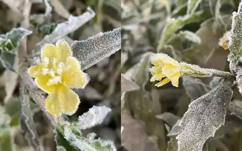 ezgif-5-fad3267052 ezgif-5-fad3267052