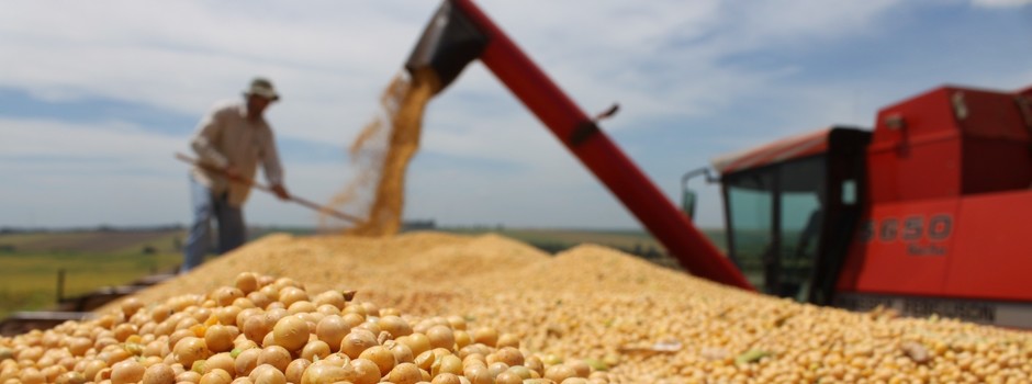 soja_seapa_agro_4 soja_seapa_agro_4