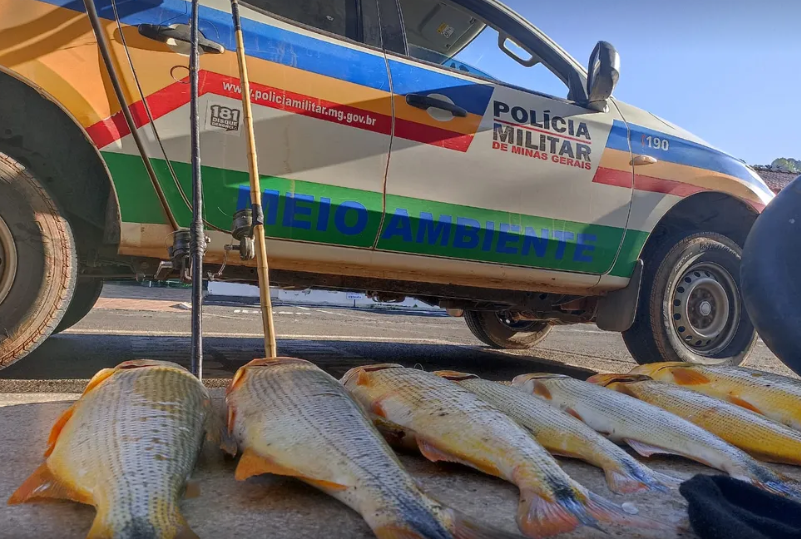 5432782286767 5432782286767