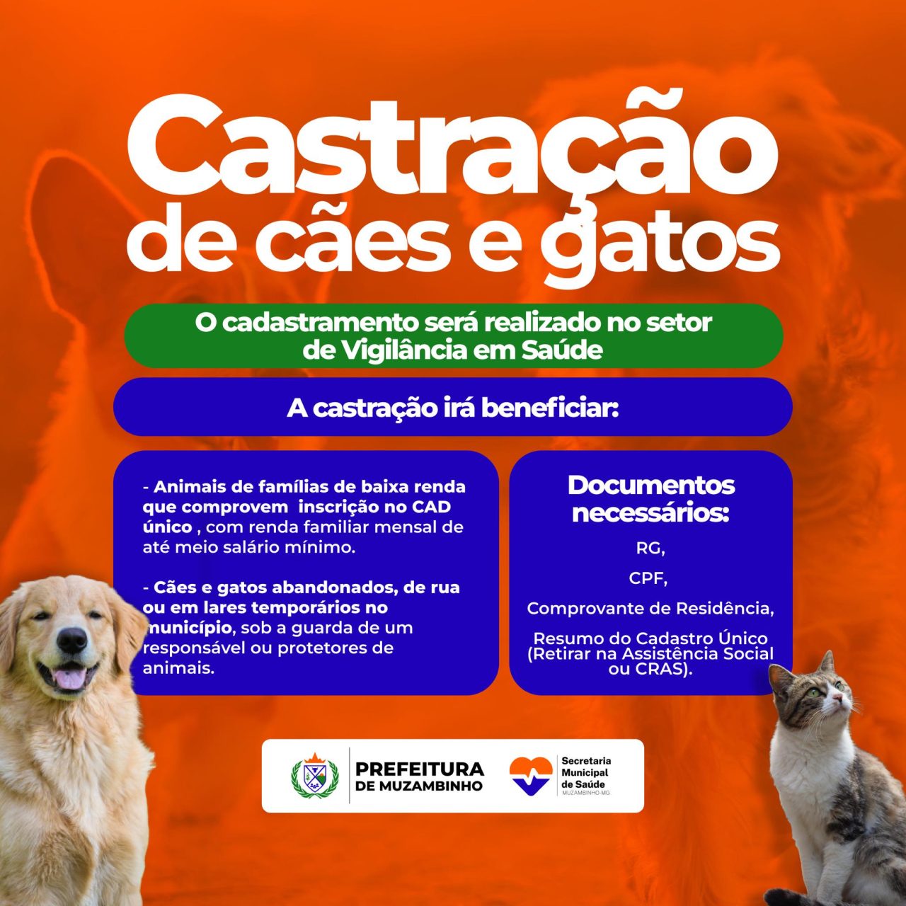 CastraChips CastraChips